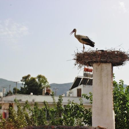 Barim Pansiyon Selcuk Exteriér fotografie