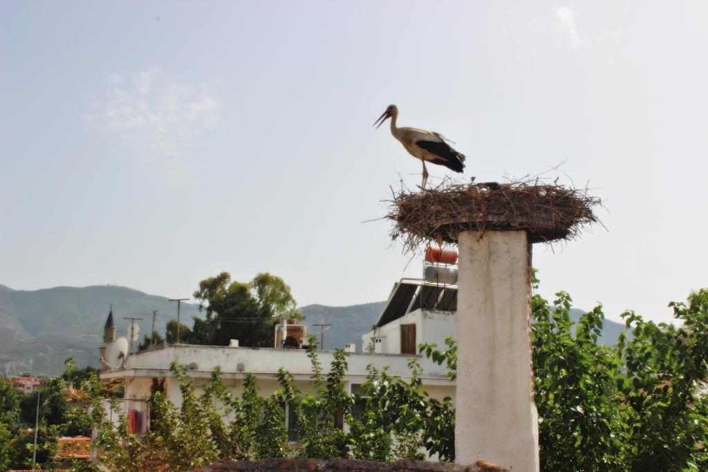 Barim Pansiyon Selcuk Exteriér fotografie